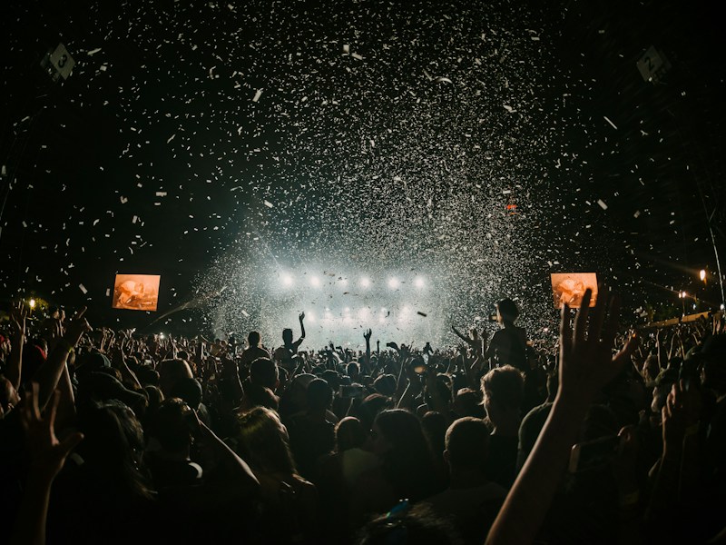 Concert Crowd