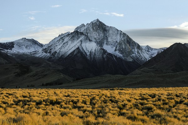 Idaho
